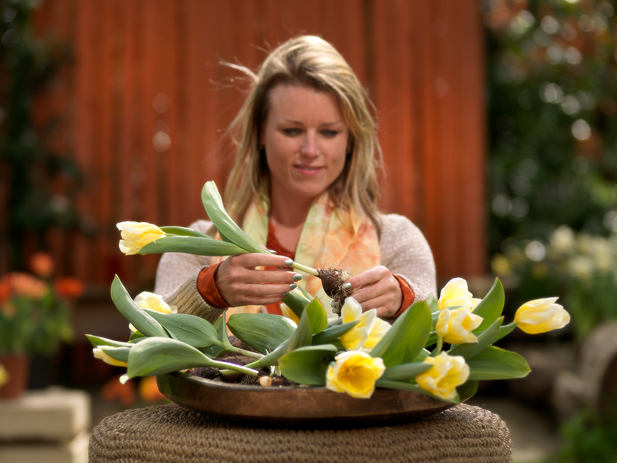 Woman in garden creating yellow tulip design by iBulb