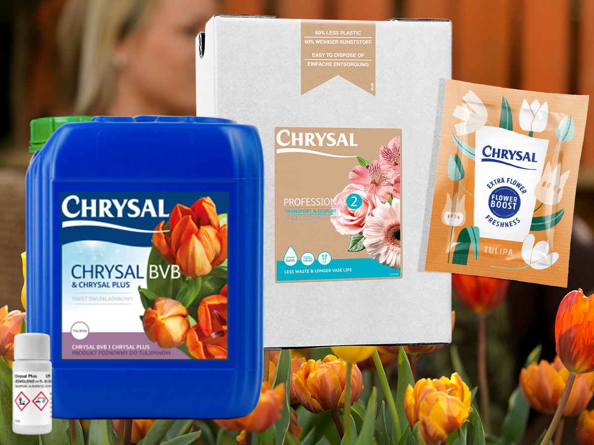 Chrysal solutions for tulips