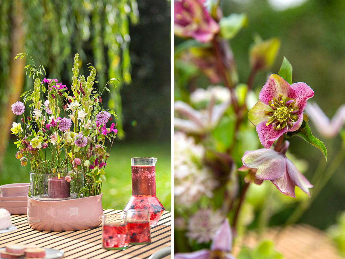 Chrysal Helleborus designs by Marginpar