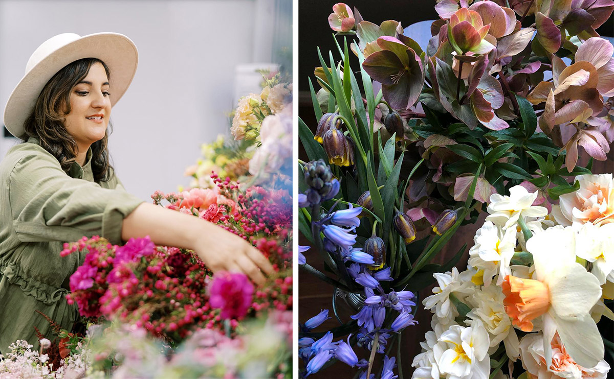 Amy Balsters and Helleborus