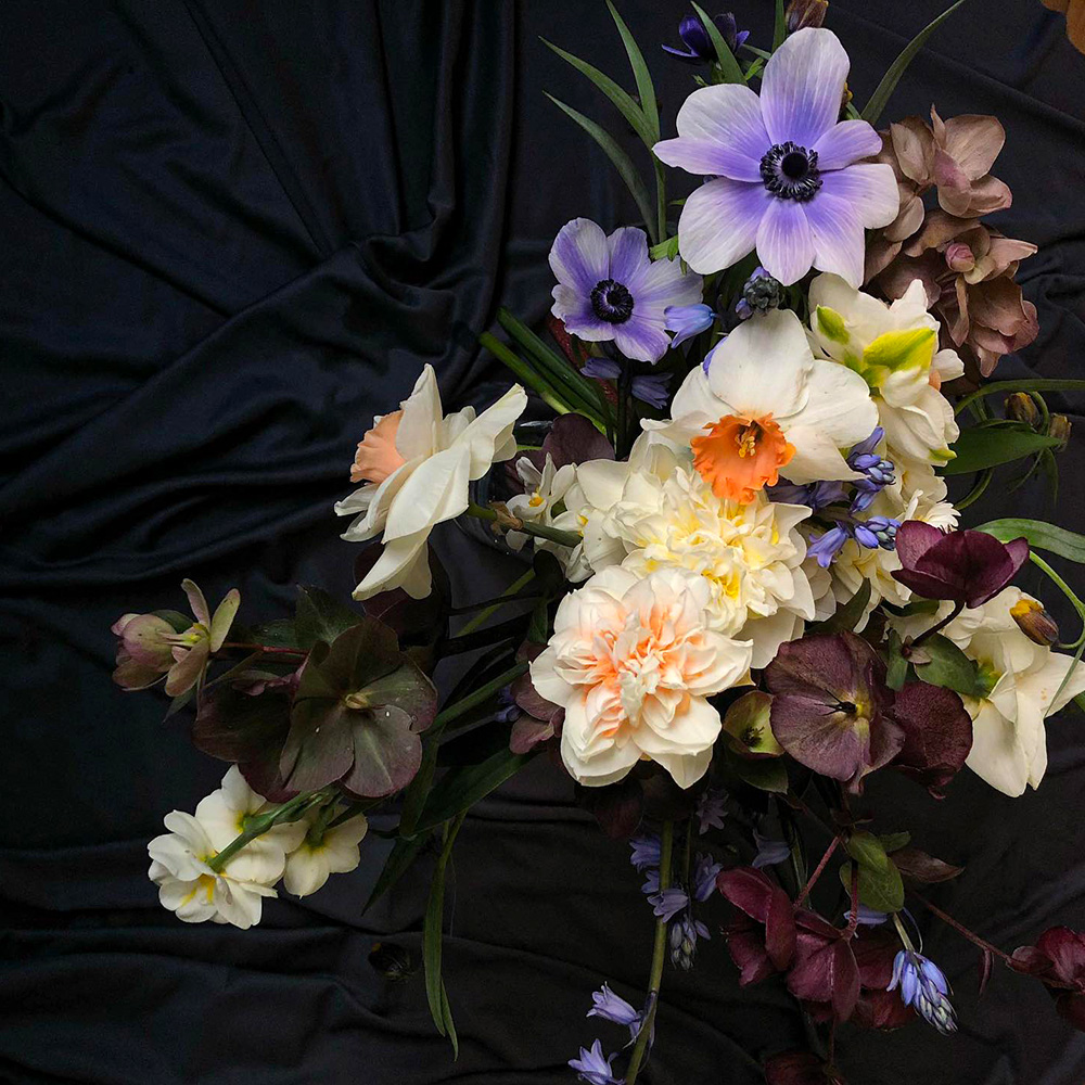 Amy Balsters Helleborus design