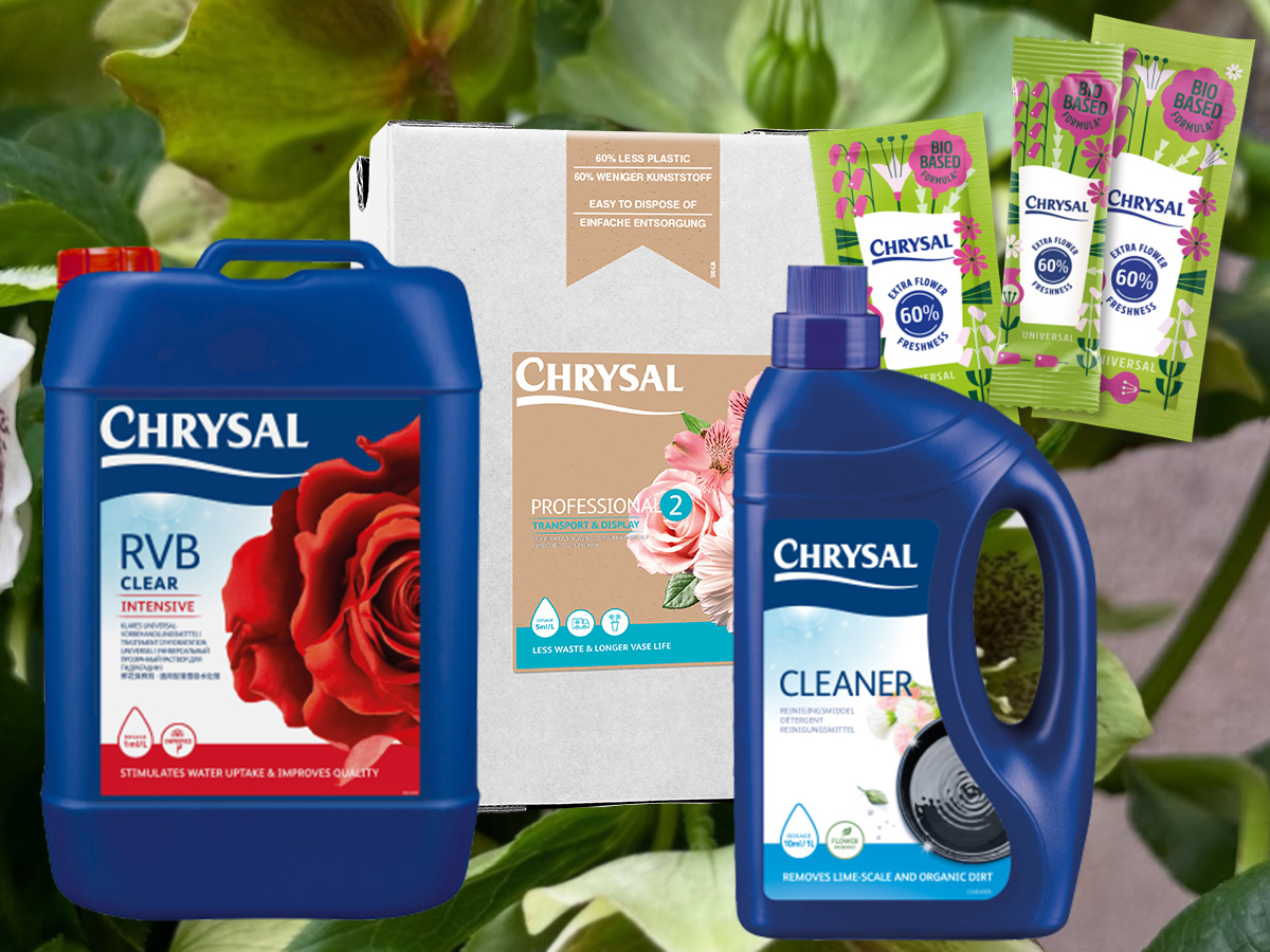 Chrysal Helleborus solutions
