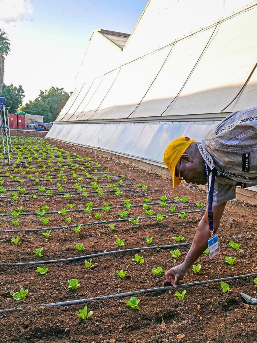 Why Smart Water Management Matters in Sustainable Floriculture Systems