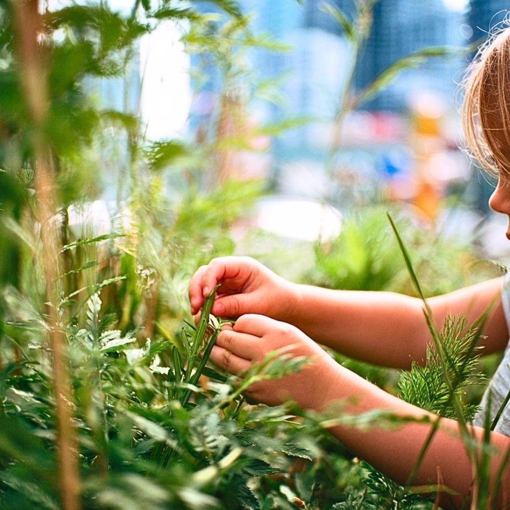 Child touching leaves