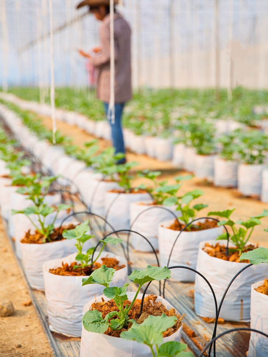 Why Smart Water Management Matters in Sustainable Floriculture Systems