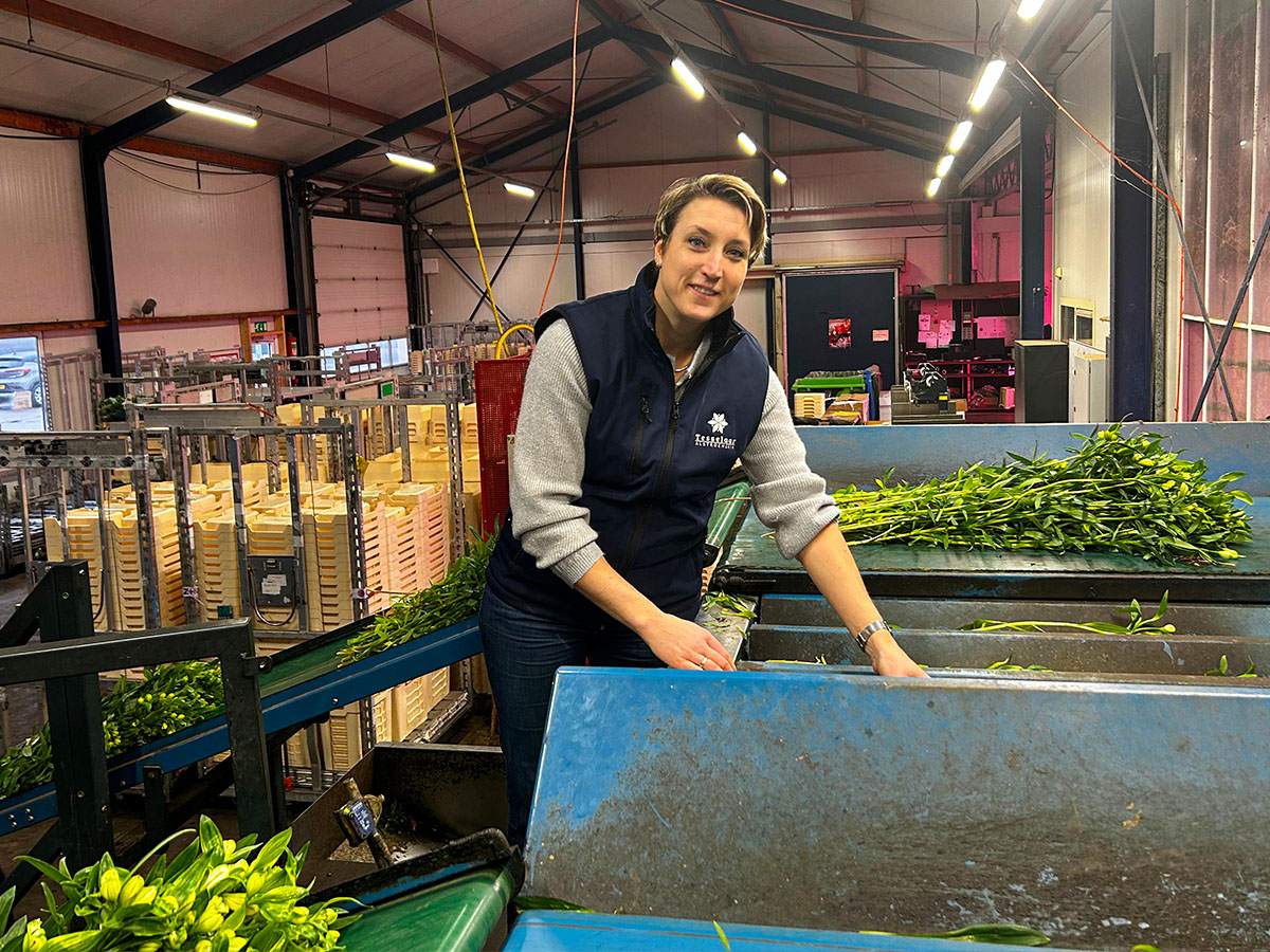 Karolien Tesselaar Christmas bunching machine