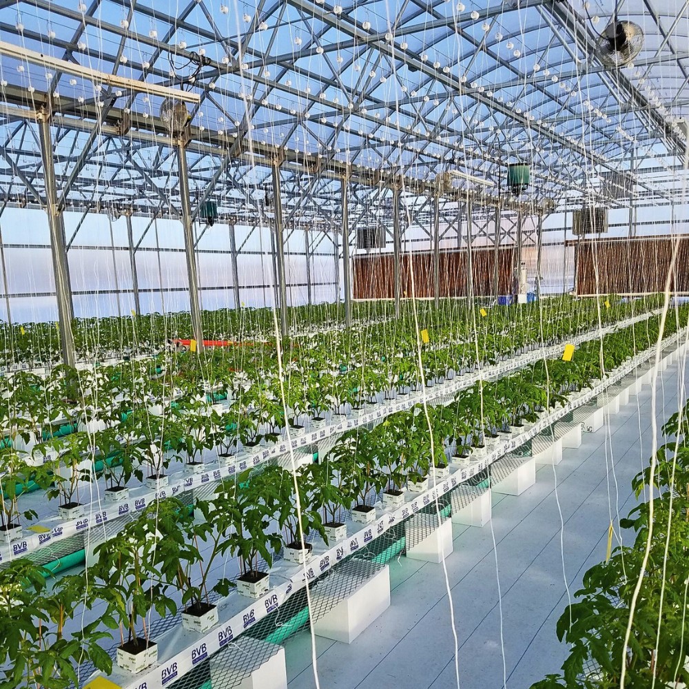 Why Smart Water Management Matters in Sustainable Floriculture Systems