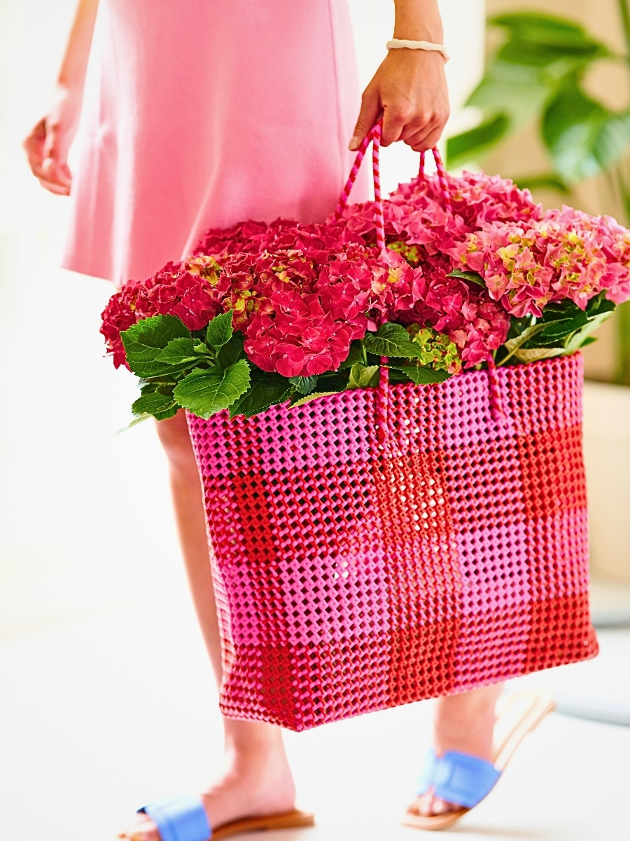 Hydrangea World&rsquo;s Vitamin Hydrangea Campaign Returns, Championing the Impact of Color on Well-Being.