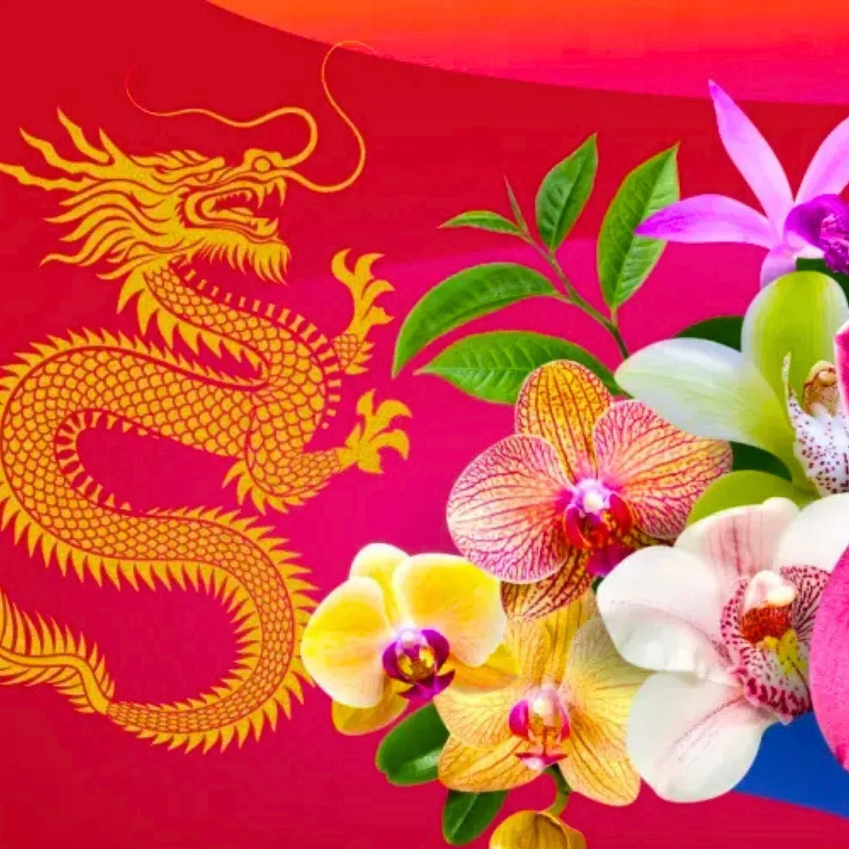 Kew orchid festival inspired by china