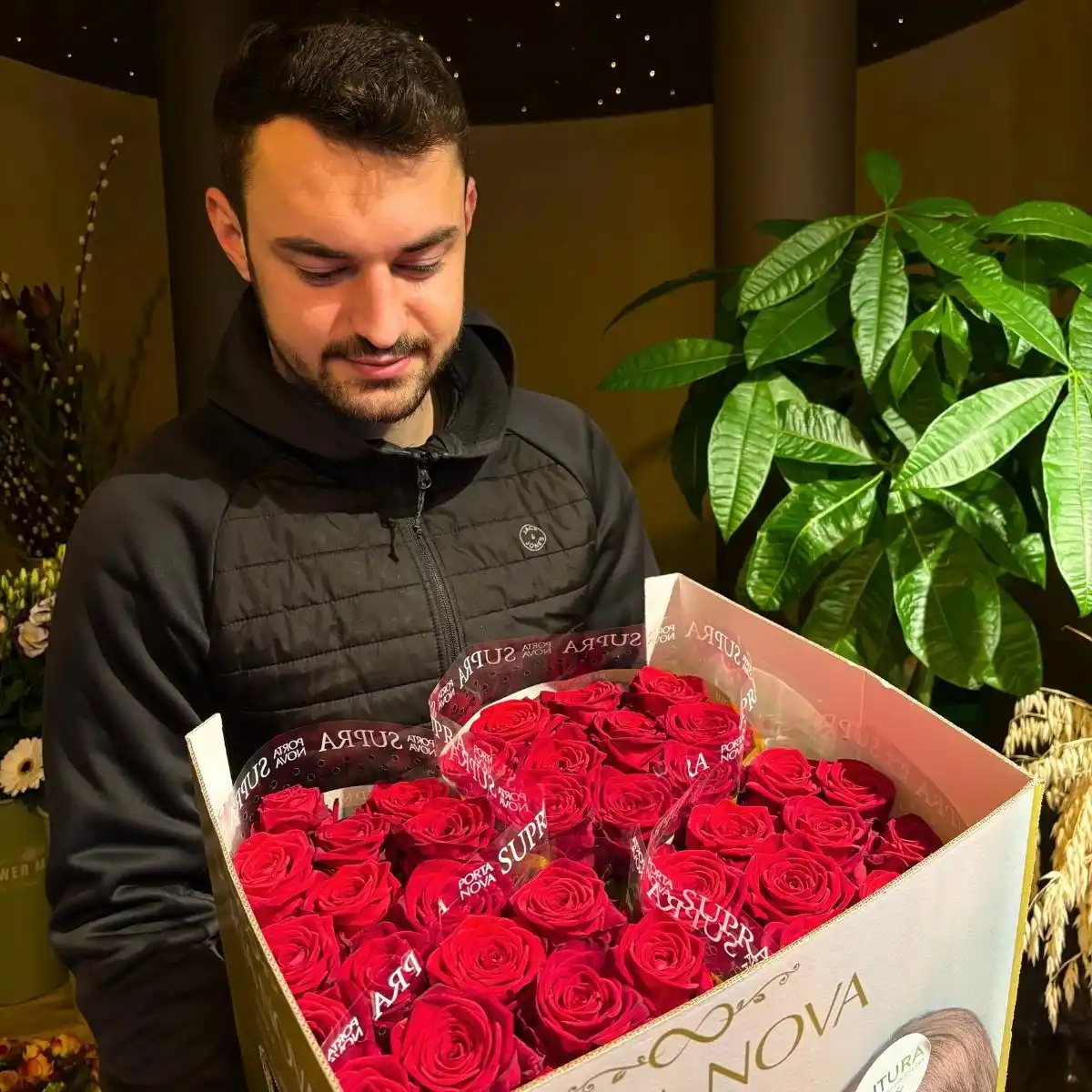 Porta Nova Red Naomi Roses by Xander Dendas