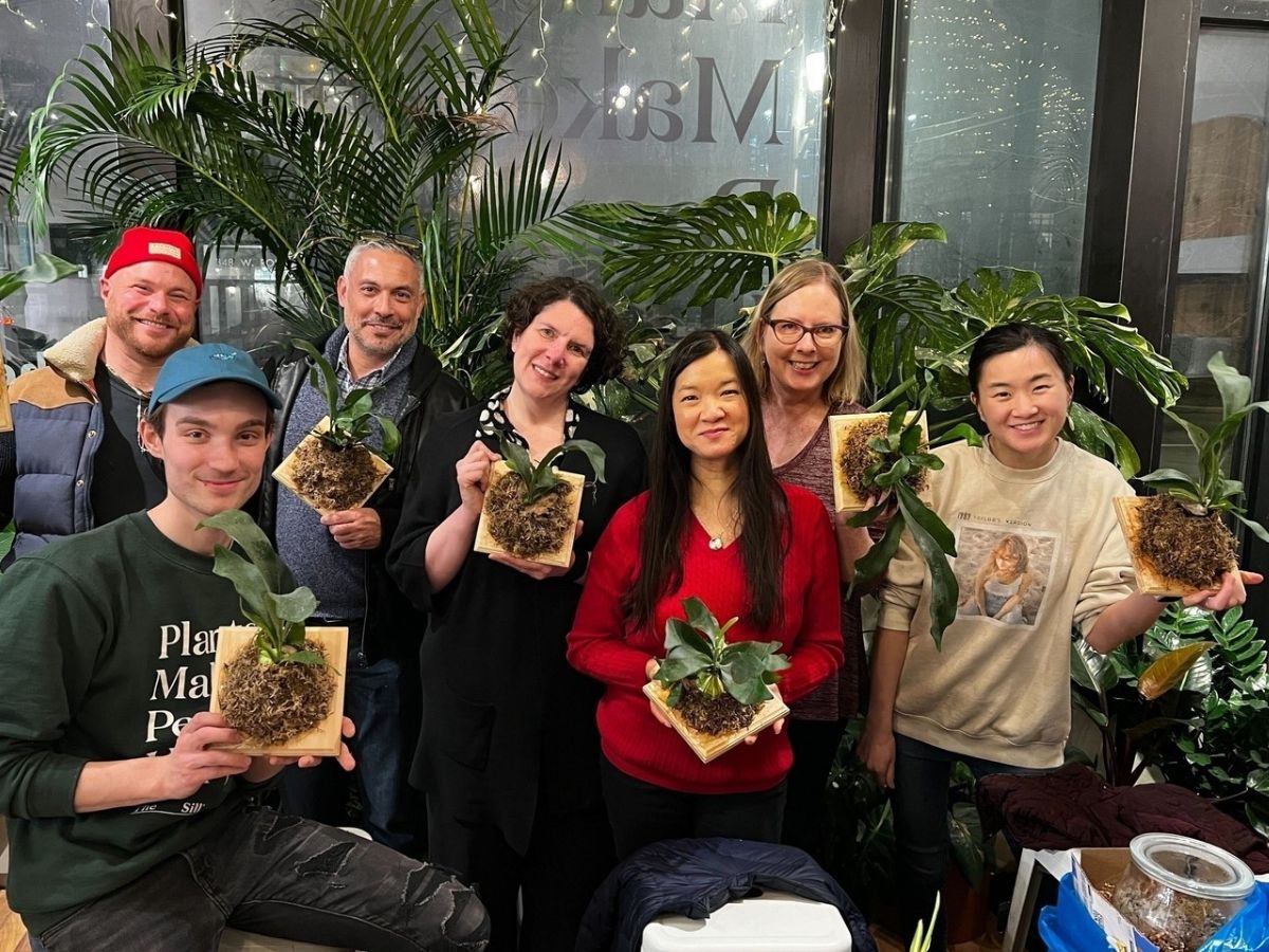 Workshop Fern Mounting Gen Z