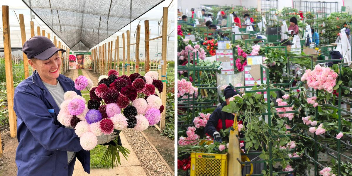 Floral industry important holidays