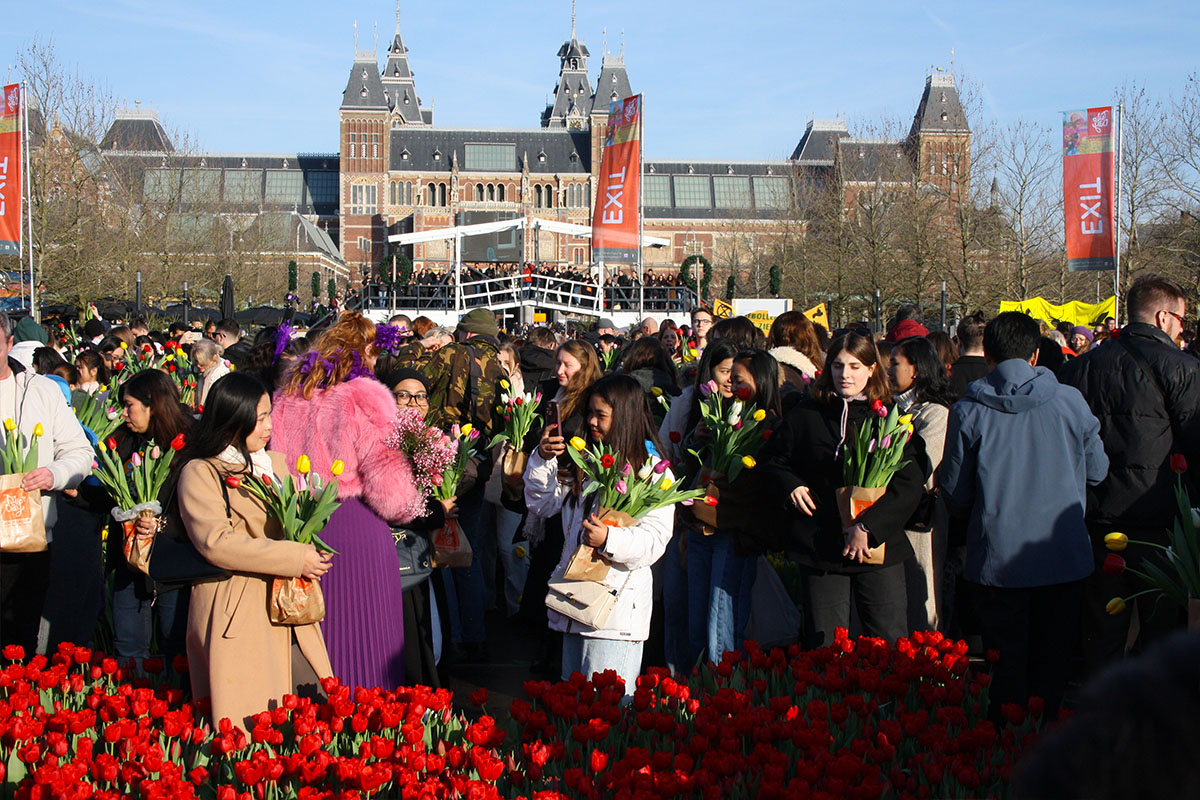 National Tulip Day 2026 Posing for red tulips