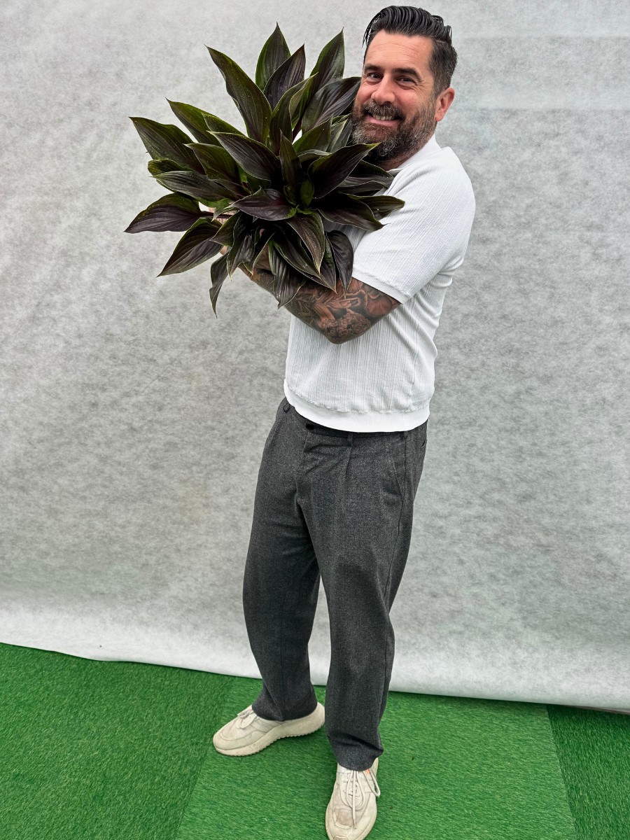 Michael Perry Also Known as Mr. Plant Geek Presents Hosta Red Ninja From Plantipp.