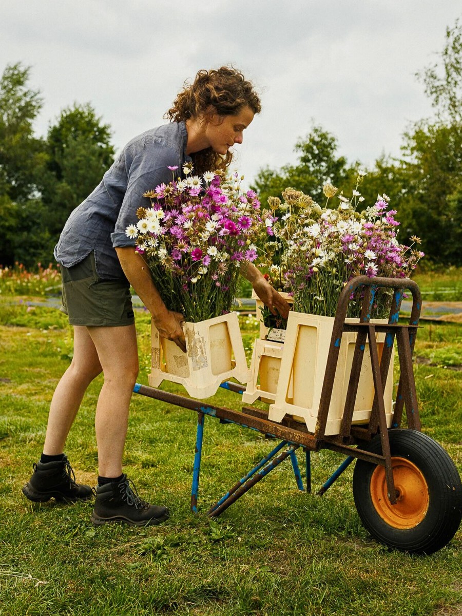 Wilderful Founded by Silke Tijkotte and Denise Collignon Champions Organically Grown, Locally Sourced Flowers.