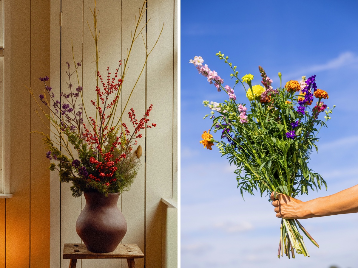 Wilderful flowers Wilderful Founded by Silke Tijkotte and Denise Collignon Champions Organically Grown, Locally Sourced Flowers.