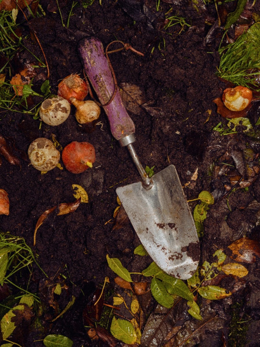 Wilderful Wilderful Founded by Silke Tijkotte and Denise Collignon Champions Organically Grown, Locally Sourced Flowers.