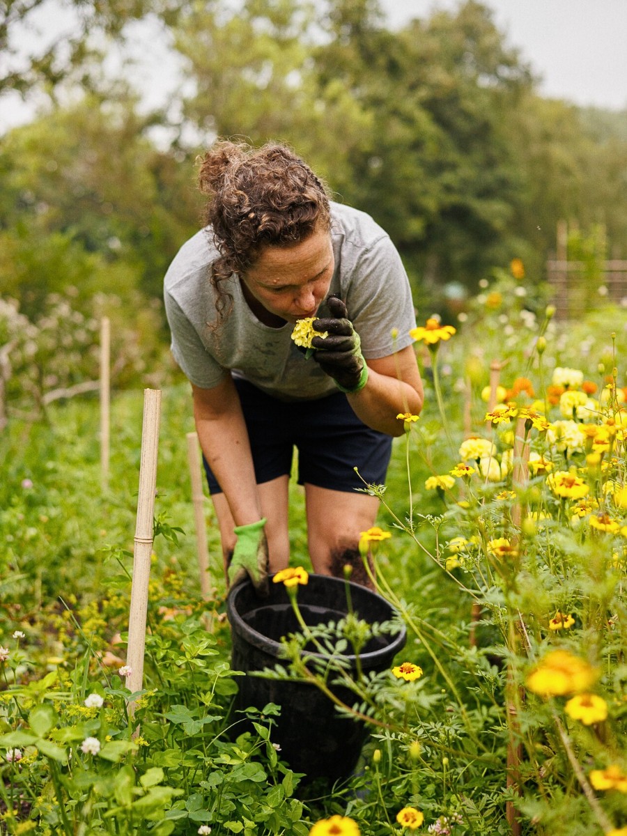 Wilderful Founded by Silke Tijkotte and Denise Collignon Champions Organically Grown, Locally Sourced Flowers.