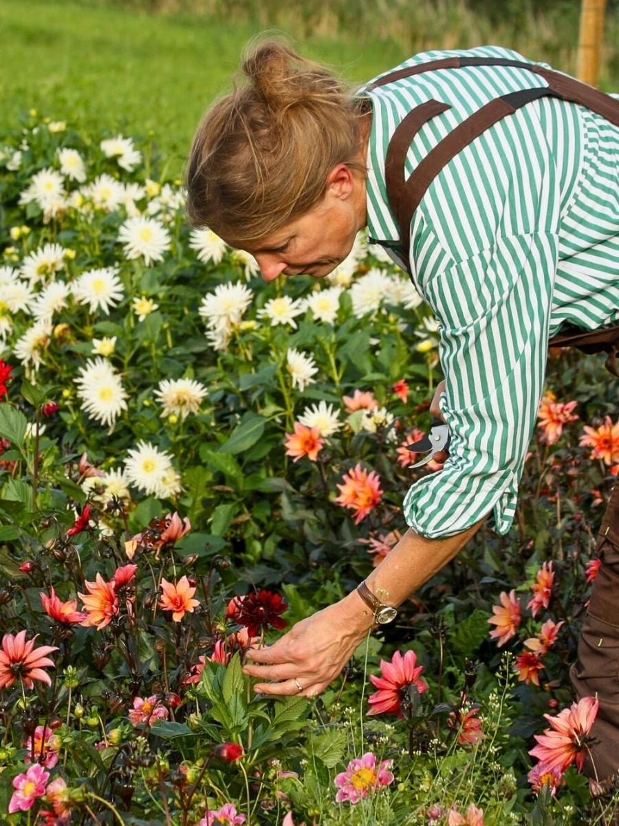 Wilderful Founded by Silke Tijkotte and Denise Collignon Champions Organically Grown, Locally Sourced Flowers.