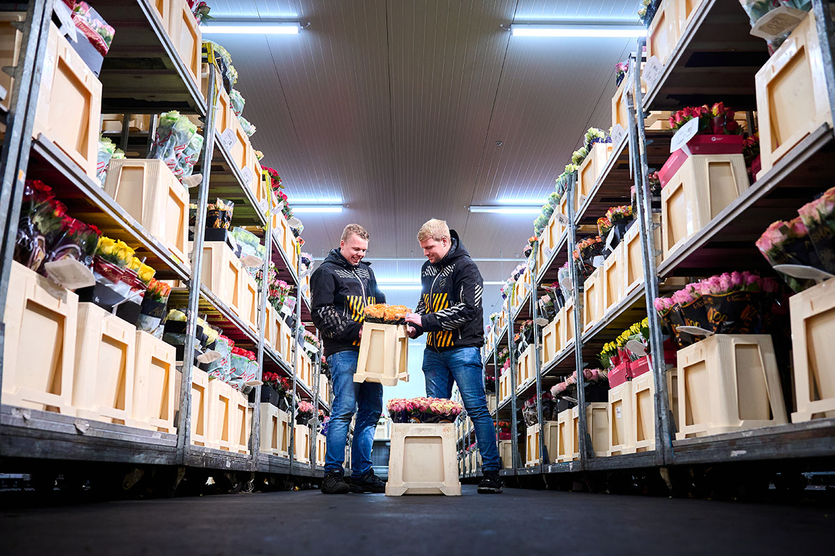 One Flora Group logistics order picking