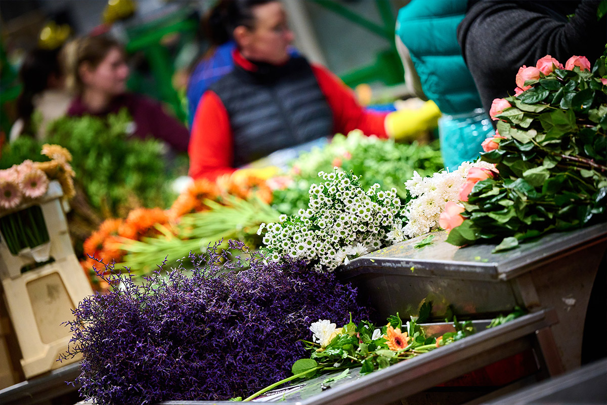 One Flora Group logistics packing tables