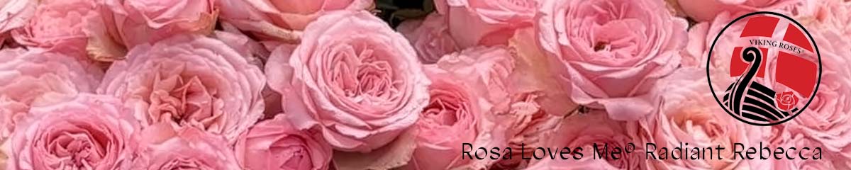 Banner Viking Roses Banner Viking Roses
