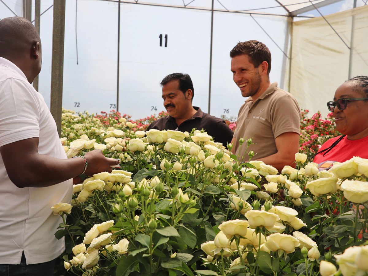 Breeders United Selections, K&ouml;nst Alstroemeria, and Icon Selections Hosted Their Open Days at Their Facility in Nakuru, Kenya