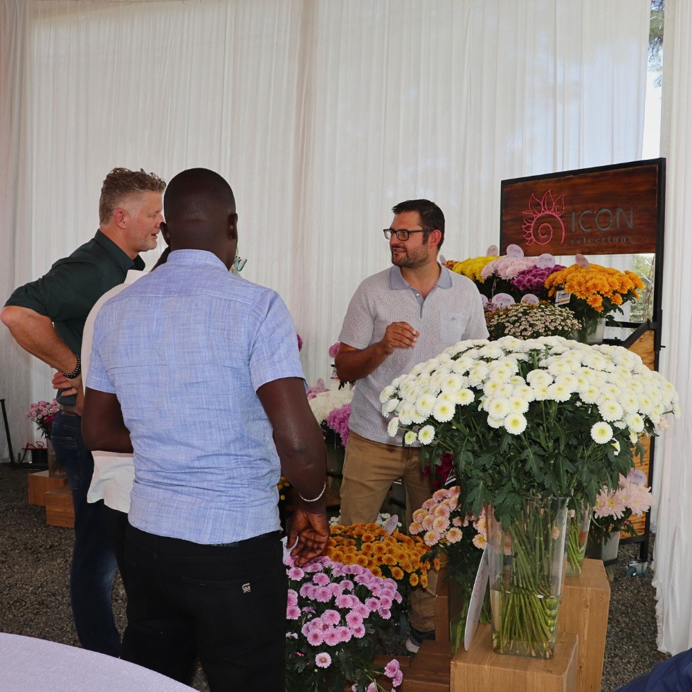 Breeders United Selections, K&ouml;nst Alstroemeria, and Icon Selections Hosted Their Open Days at Their Facility in Nakuru, Kenya