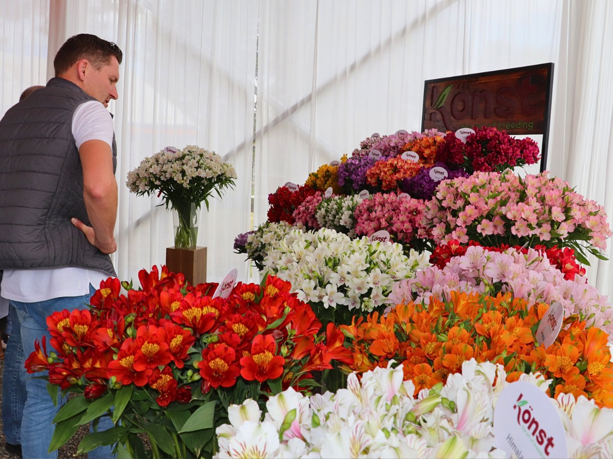 Breeders United Selections, K&ouml;nst Alstroemeria, and Icon Selections Hosted Their Open Days at Their Facility in Nakuru, Kenya