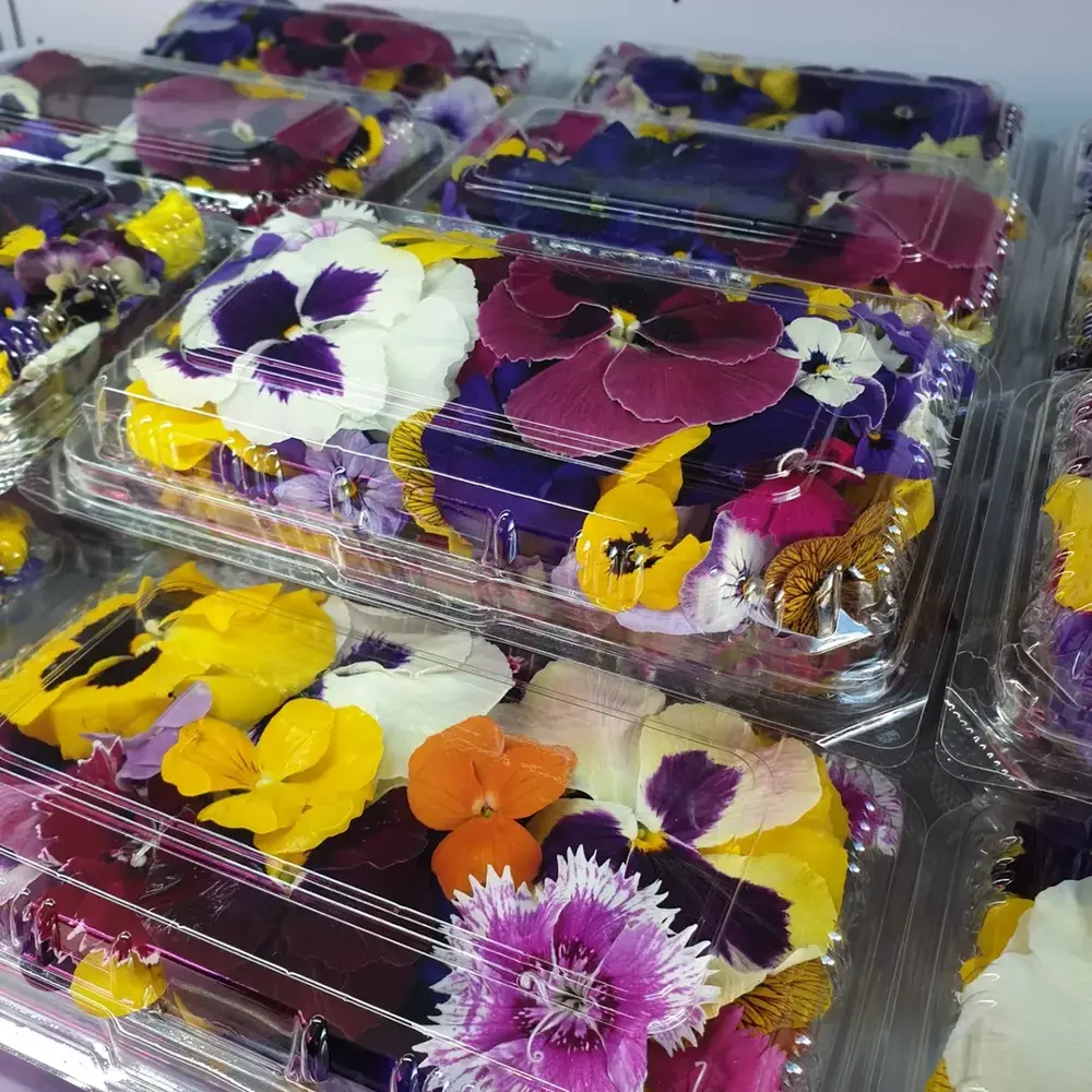 Plastic containers of colorful edible flowers