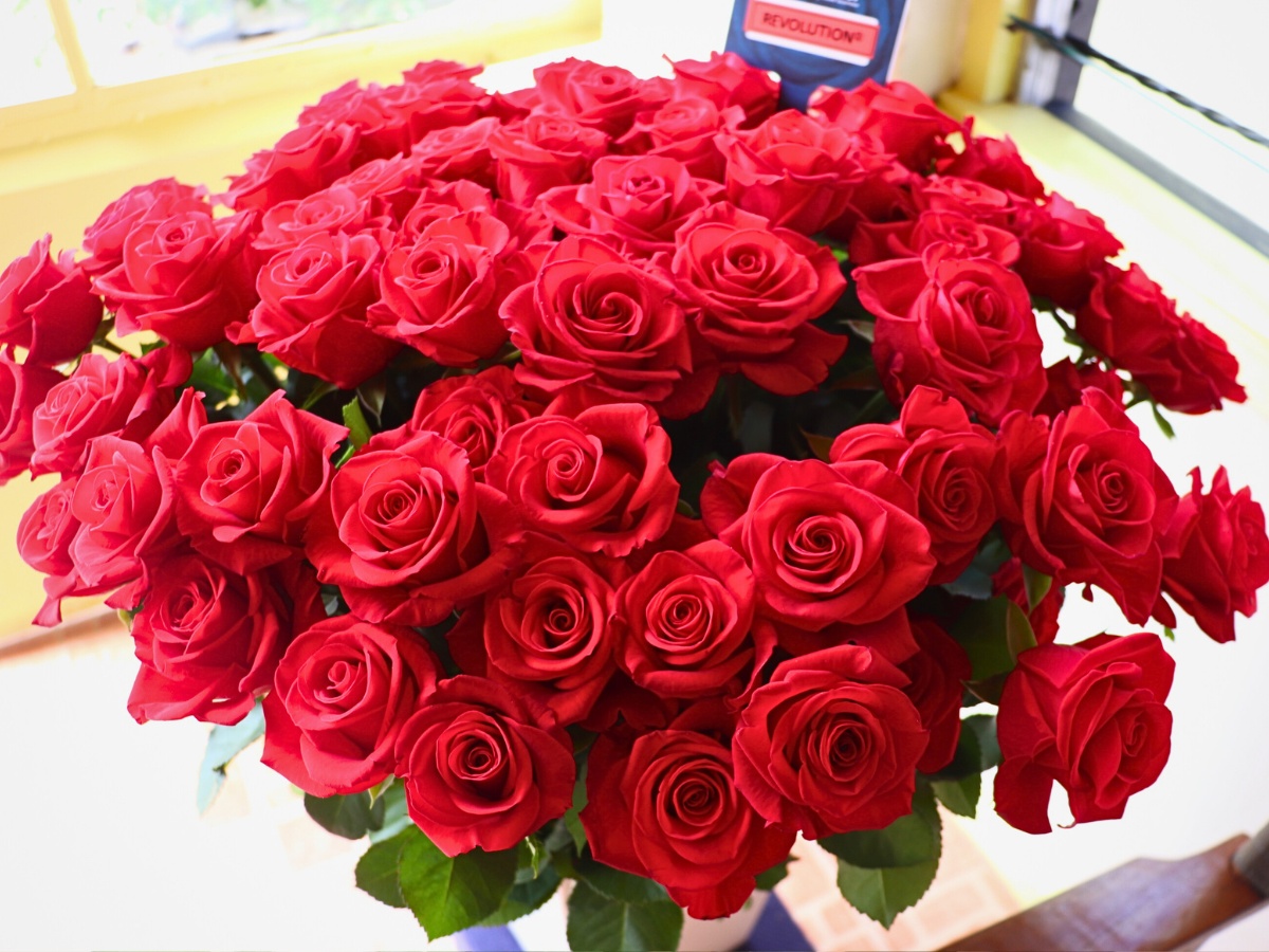 The Open Days at De Ruiter East Africa