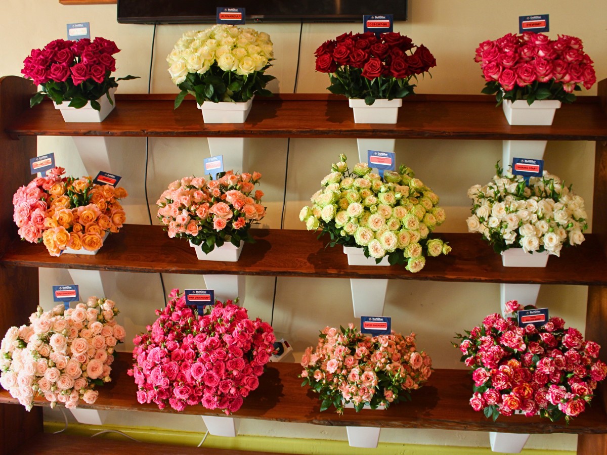 The Open Days at De Ruiter East Africa Had a Lot More to Offer