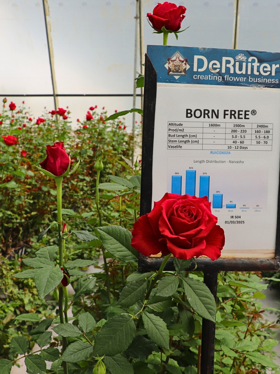 The Open Days at De Ruiter East Africa Had a Lot More to Offer