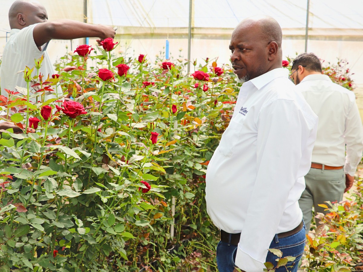 De Ruiter East Africa Showcases More Varieties and Novelties During Their Open Days in Naivasha
