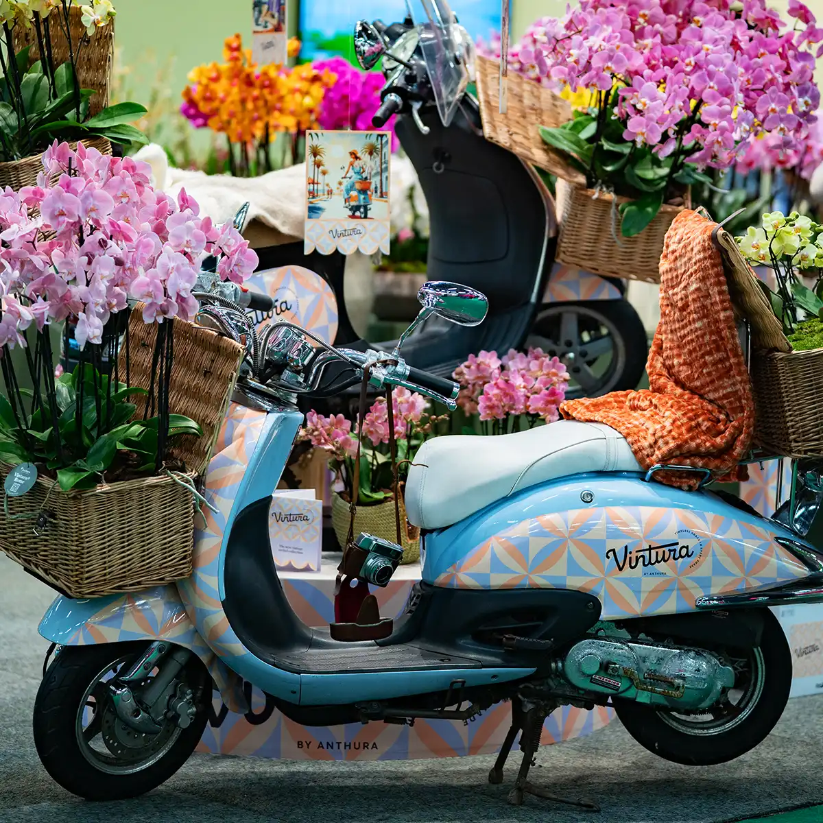 IPM Sneak Preview Content partners