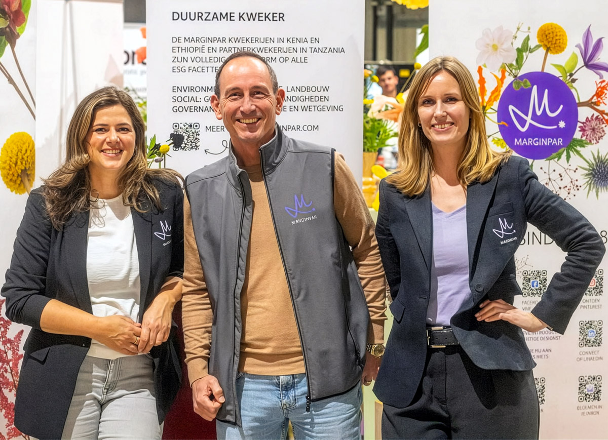 IPM Sneak Preview Marginpar team