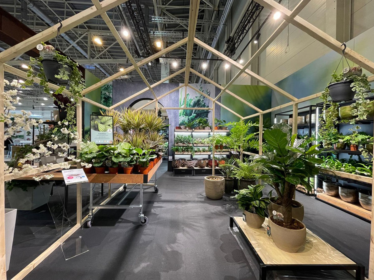 IPM Sneak Preview Air So Pure Discovery