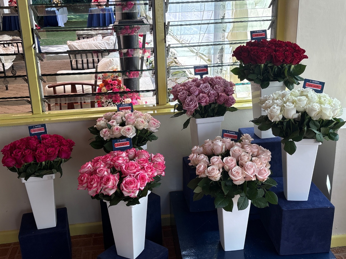 De Ruiter East Africa Showcases More Varieties and Novelties During Their Open Days in Naivasha