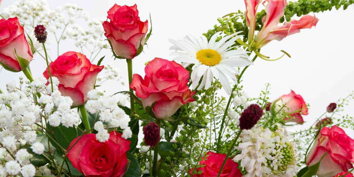 Rose Senti Joyful in Combination With Unicorn, Gypso, Unicorn, Harmony and Gloriosa