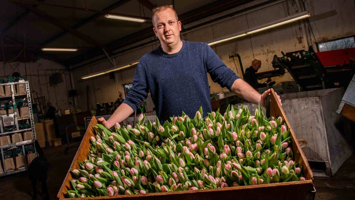 Ted from Van der Gulik by Decorum