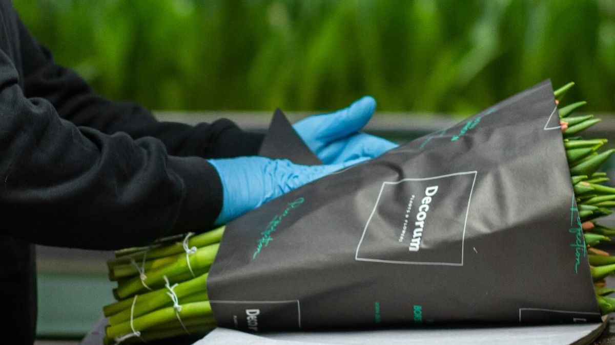 Packing tulips by Borst Bloembollen in Decorum