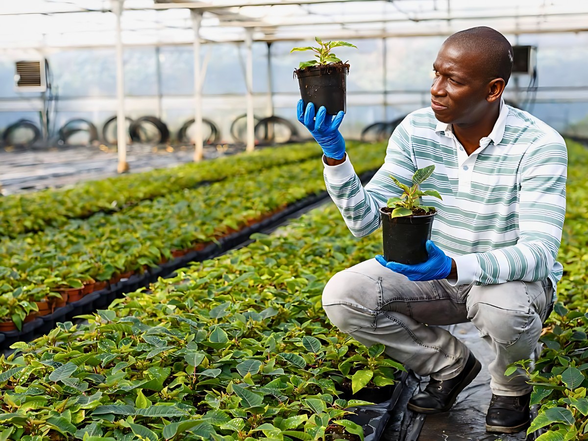 Addition of Greenhouse Sustainability as a new member of the Floriculture Sustainability Initiative (FSI)