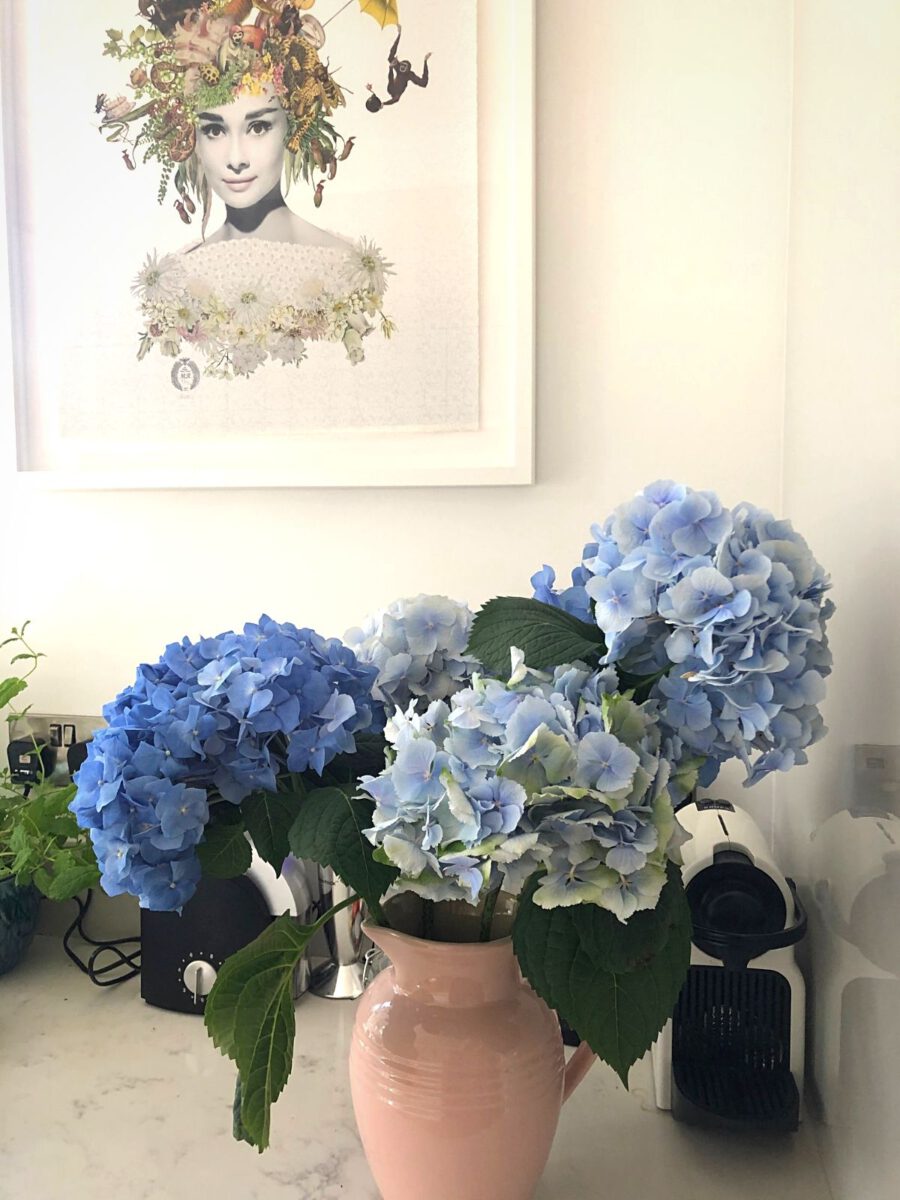 The Versatility of the Hydrangea - Blog on Thursd by Sarah Richardson from Leafy Couture