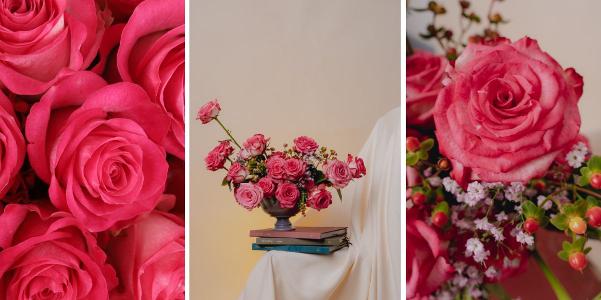 Danziger Rose SENTI&reg; Ambivalent Love