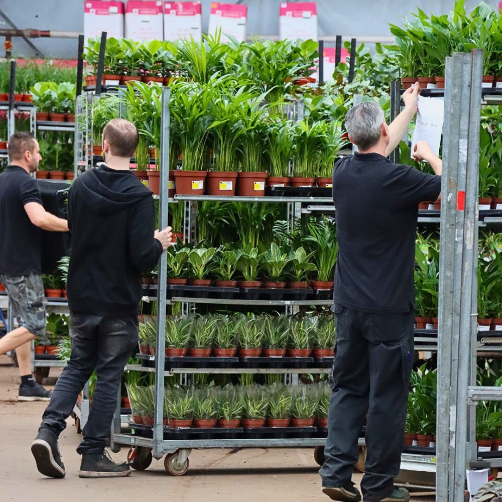 Addition of Greenhouse Sustainability as a new member of the Floriculture Sustainability Initiative (FSI)