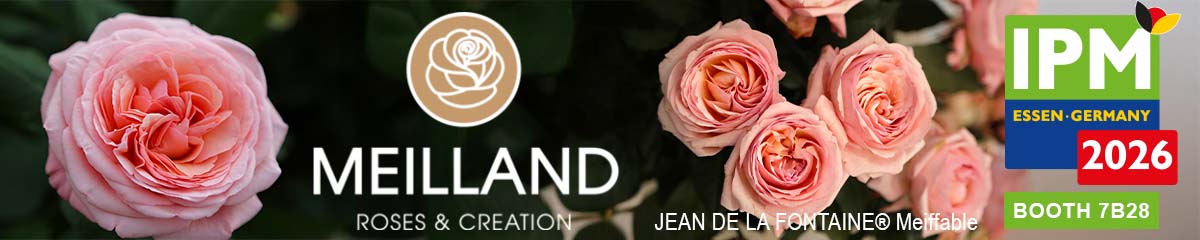 BannerMeillandIPM2026 Desktop