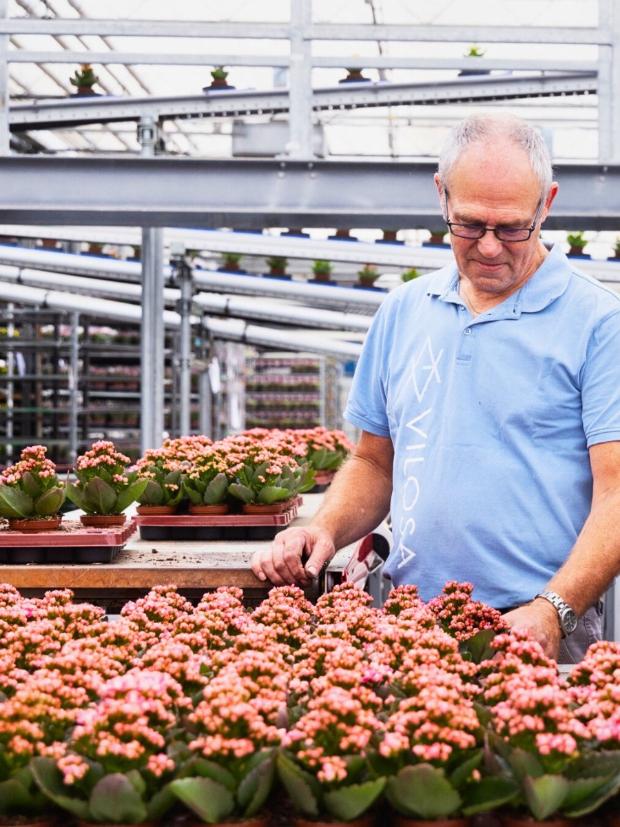 Addition of Greenhouse Sustainability as a new member of the Floriculture Sustainability Initiative (FSI)