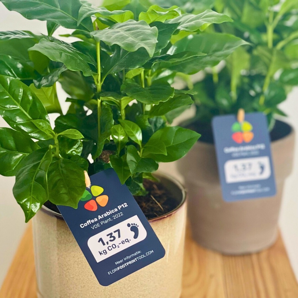 Addition of Greenhouse Sustainability as a new member of the Floriculture Sustainability Initiative (FSI)