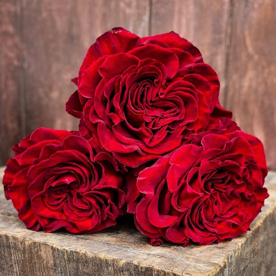 Rose Hearts by Jan Spek Rozen Rose Hearts by Jan Spek Rozen