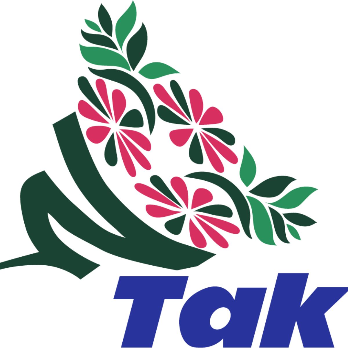 First logo of TAK global